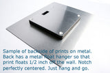 Permanence -Print on Metal - curtnerArt